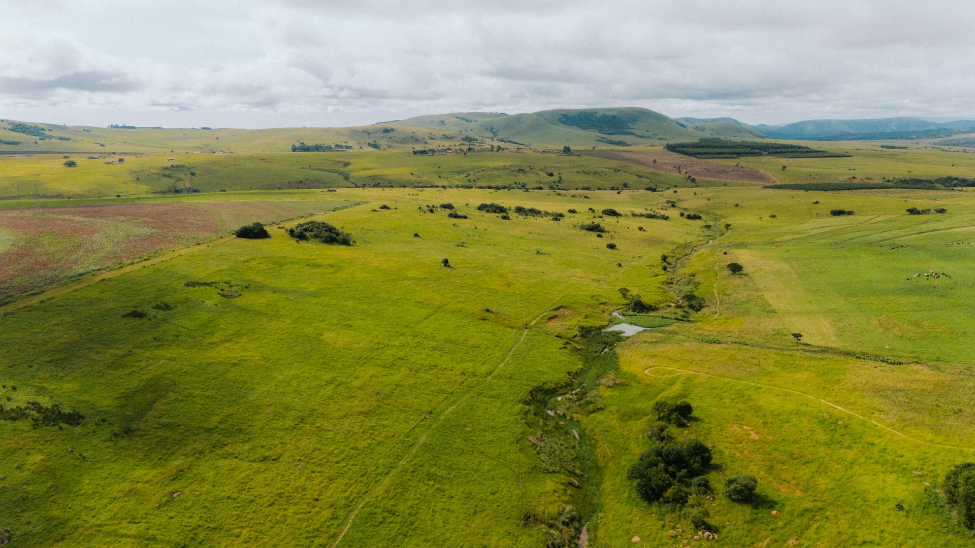 KZN Midlands Beer Trail 2026: Craft Breweries from Durban to the Drakensberg
