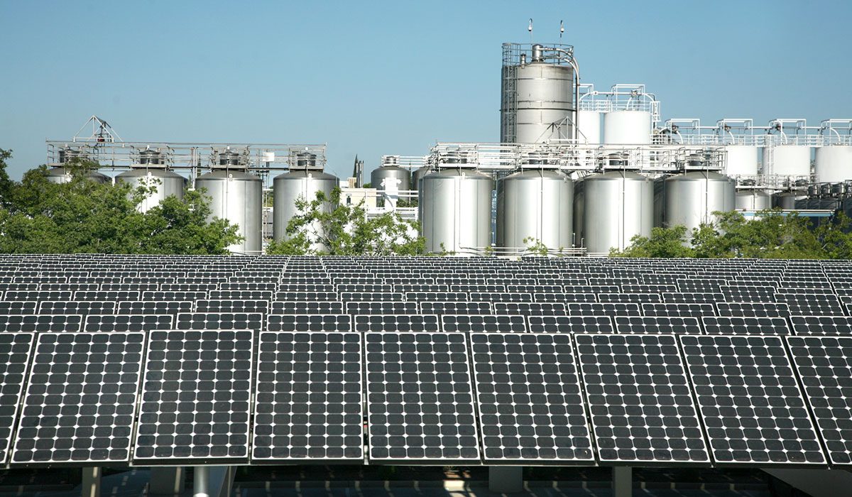 Is Your Beer Really Green? How Breweries Are Going Sustainable